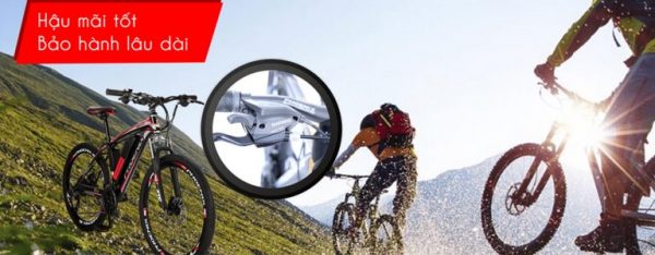 xe đạp thể thao quảng ngãi xe đạp đua quảng ngãi